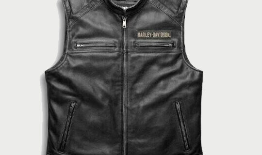 Harley Davidson Mens Embroidered Passing Link Leather Vest